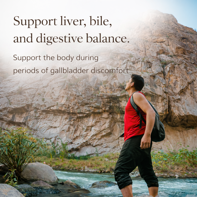 Gallbladder Stone Tonic