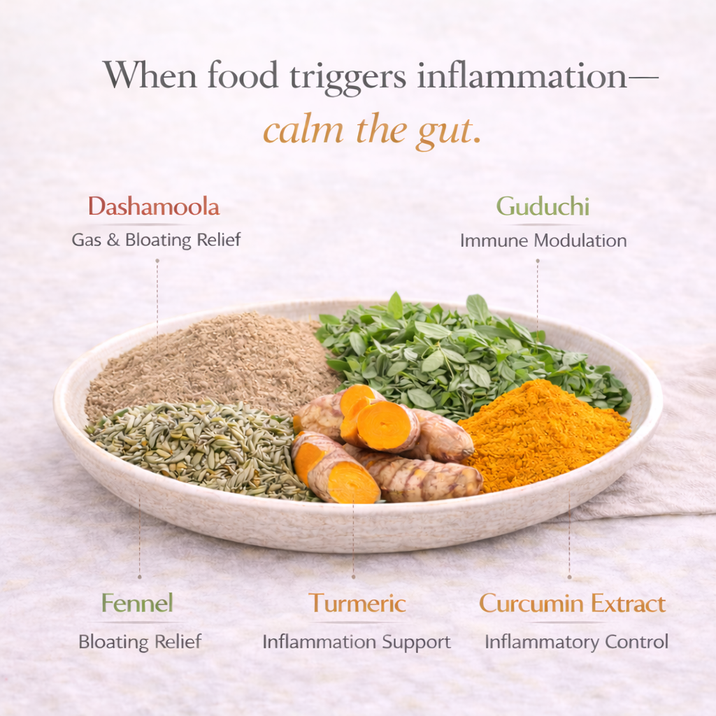 Anti-Inflammatory Post-Digest Formula - Vata Version