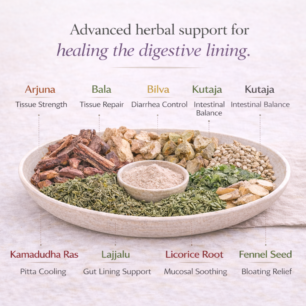 HEALING GUT TONIC - Pitta version
