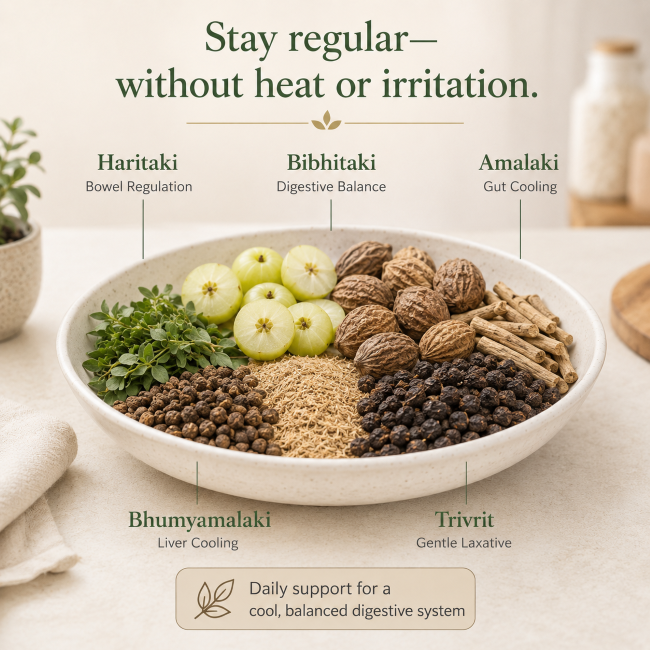 LONG-TERM COLON CARE - Pitta version