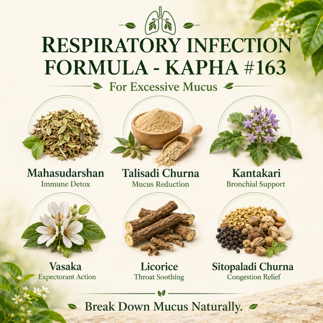 RESPIRATORY INFECTION FORMULA - high mucus version
