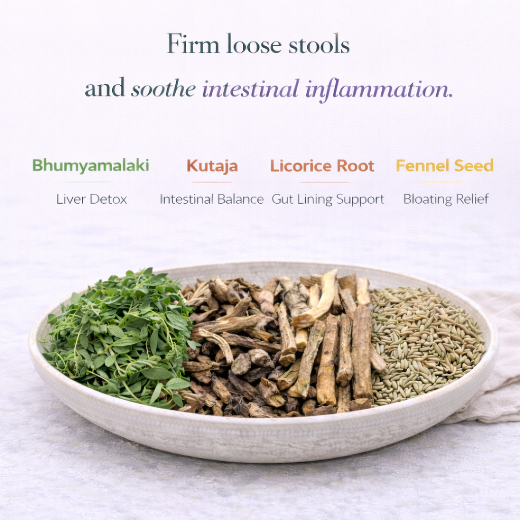 COLON FORMULA  - Pitta version