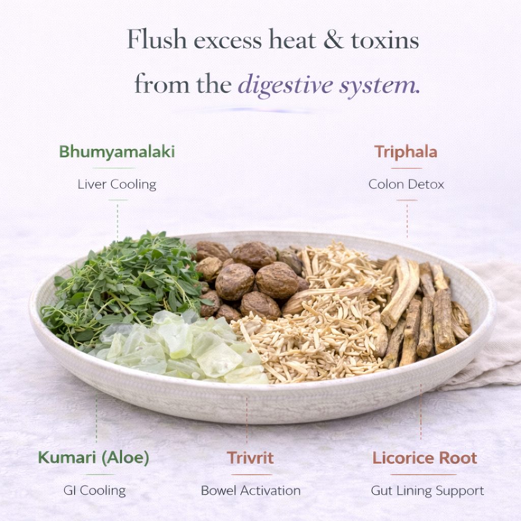 COLON FORMULA - Pitta version #2