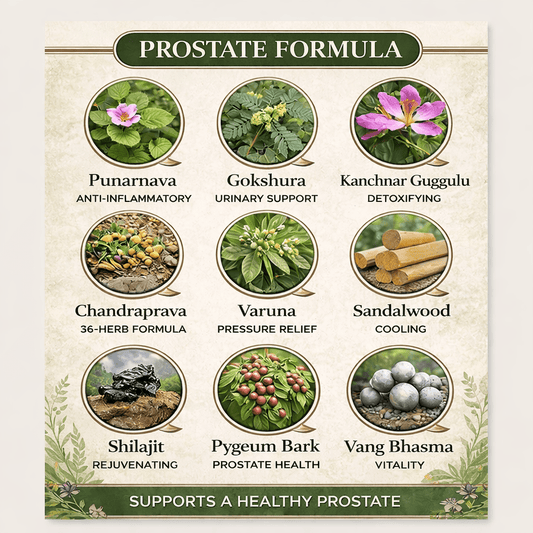 Prostate Formula - Herb Man Teas