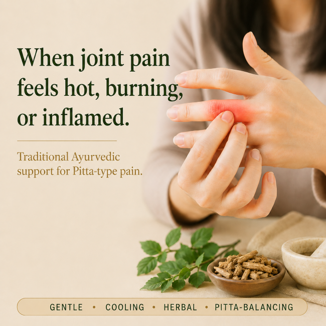 PAIN AND DETOX FORMULA - Pitta Version