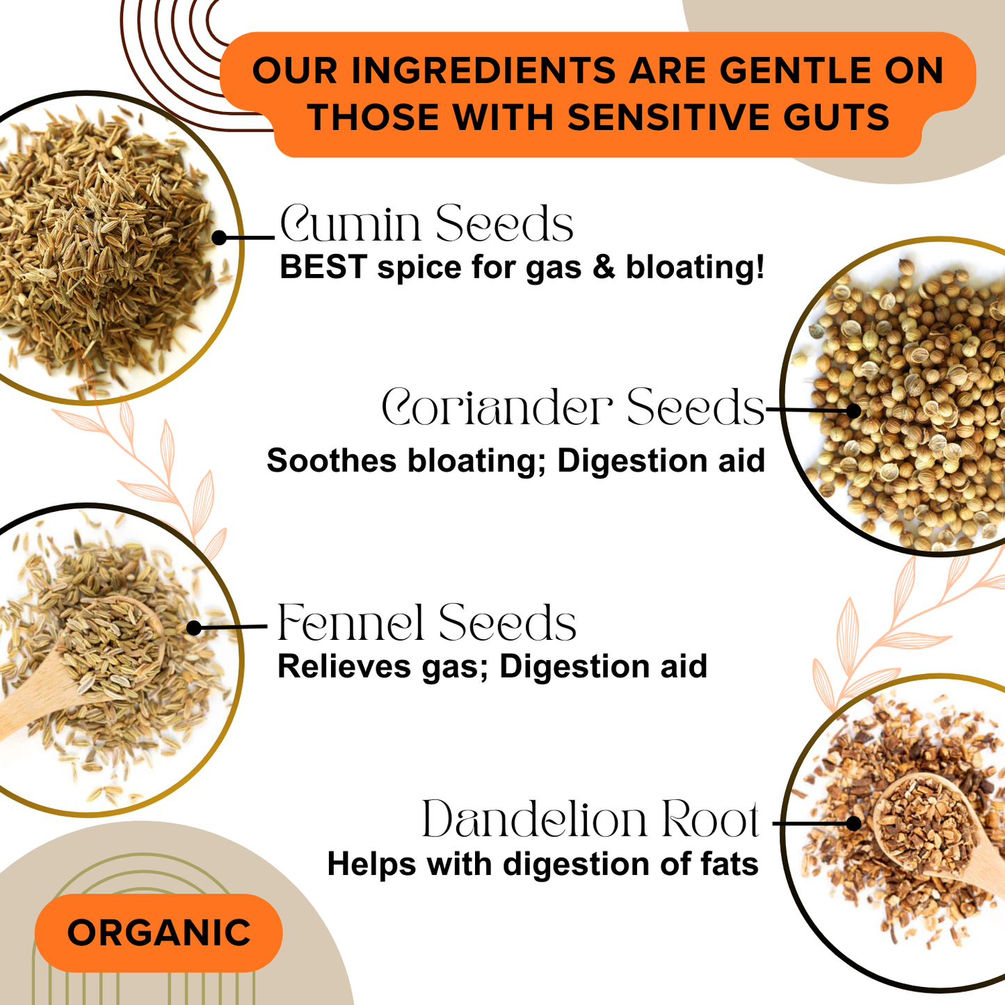 GENTLE DIGESTIVE TEA