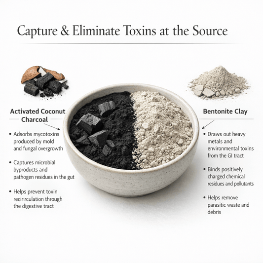 TOXIC BINDING CAPSULES for a heavy metal & mold detox - Herb Man Teas