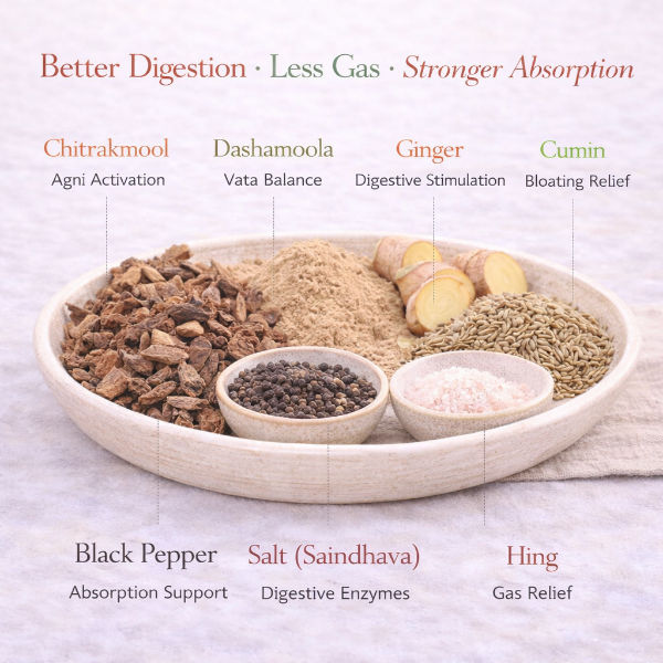 Post Digestive Formula - Vata version