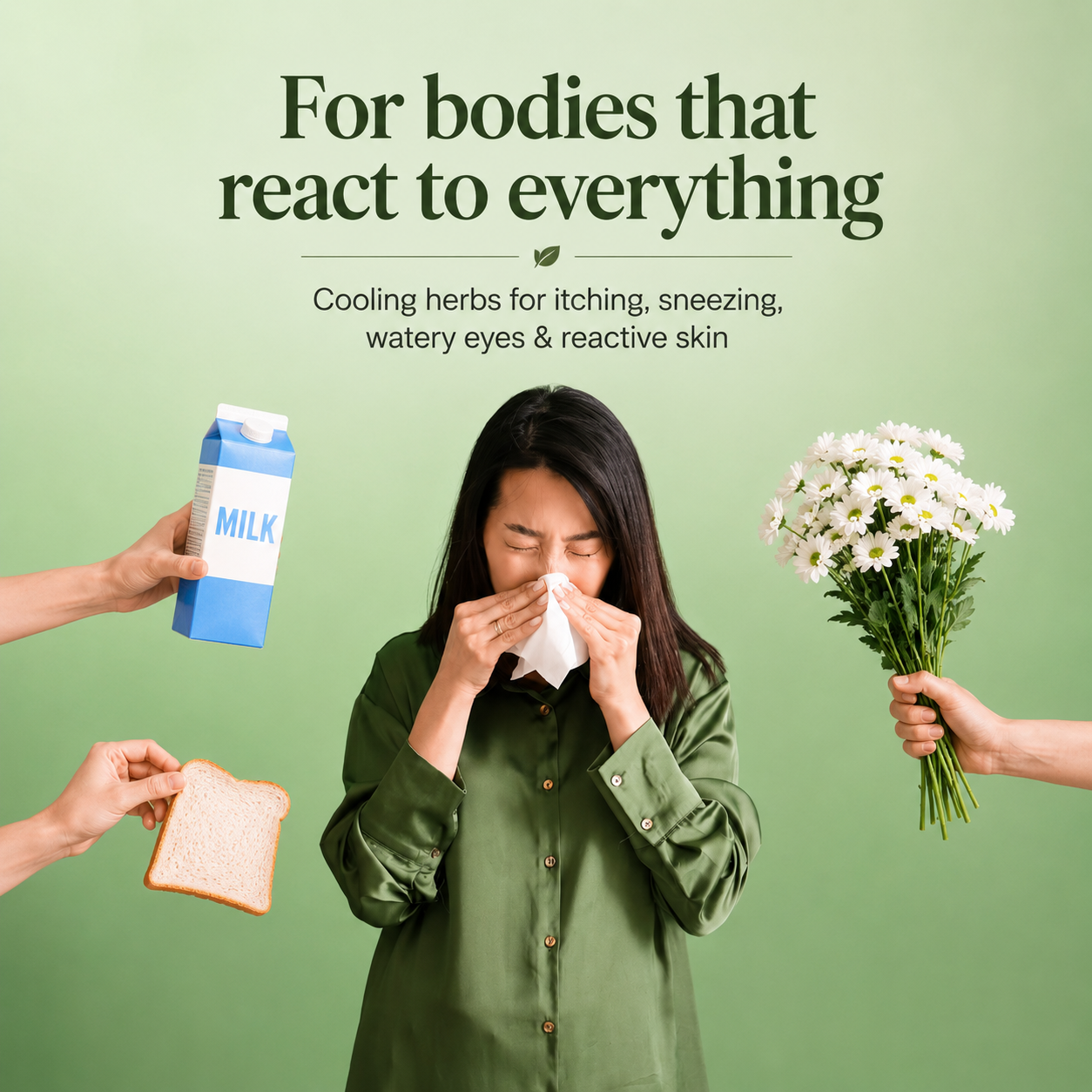 HISTAMINE BALANCE TEA