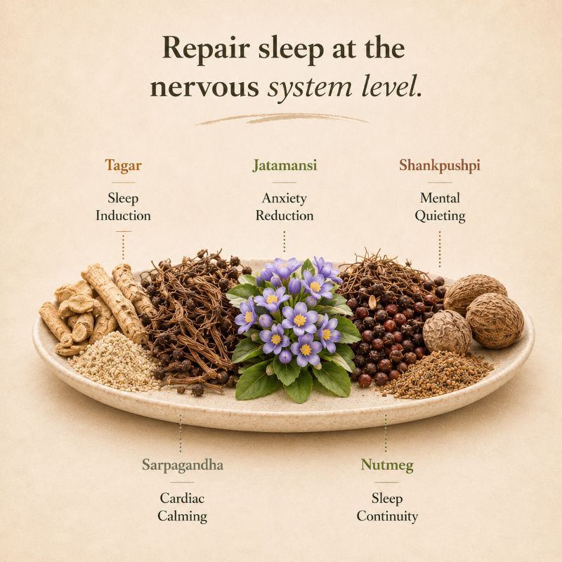 SLEEP TONIC - Vata version