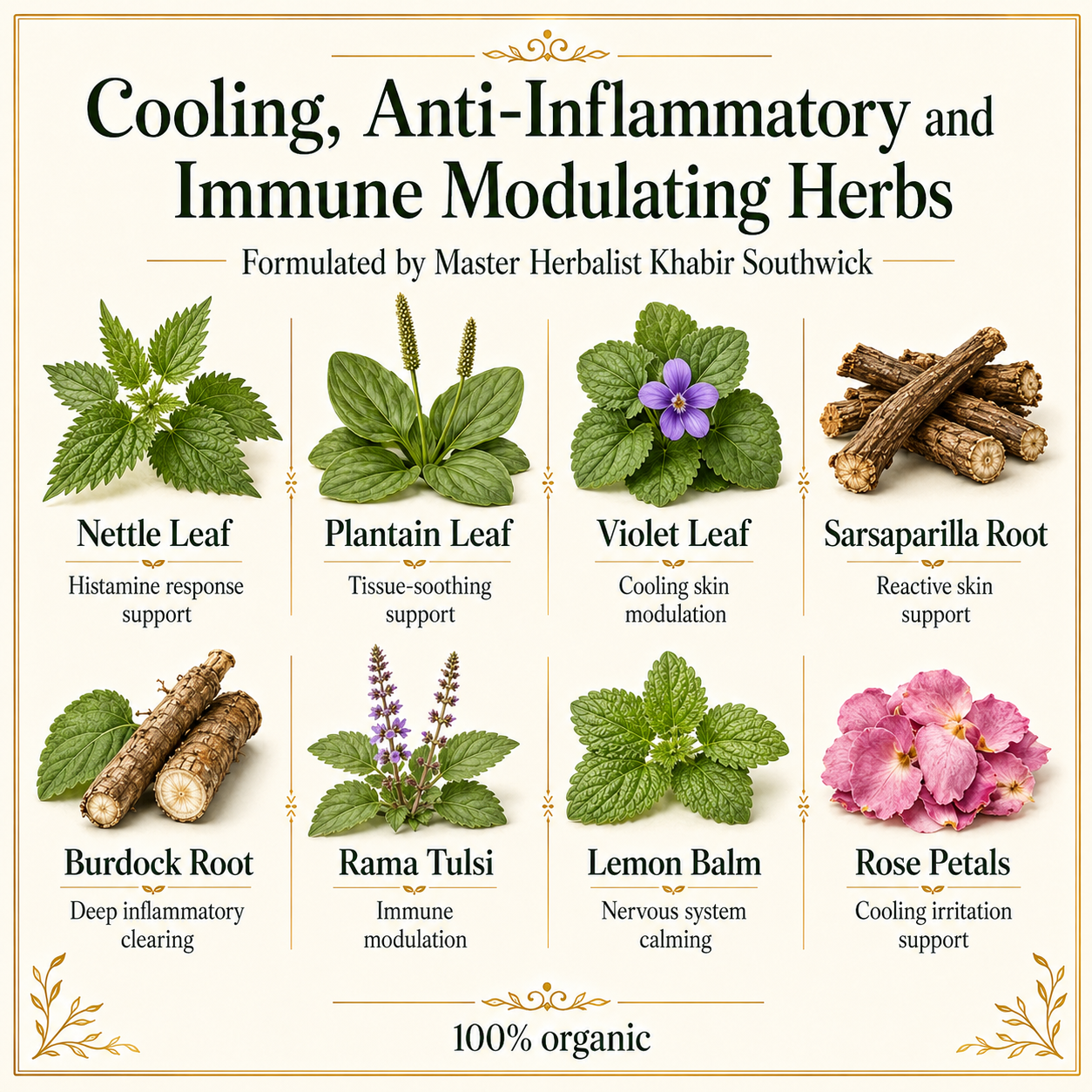 HISTAMINE BALANCE TEA