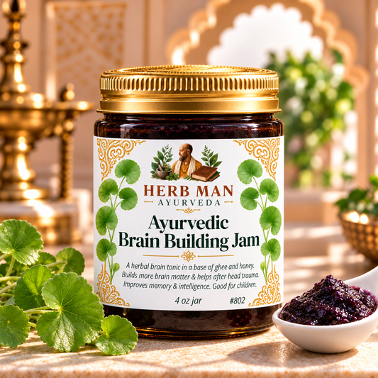 BRAIN BUILDING JAM