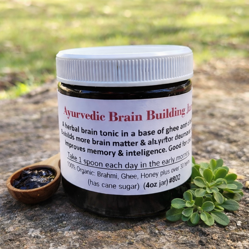 BRAIN BUILDING JAM
