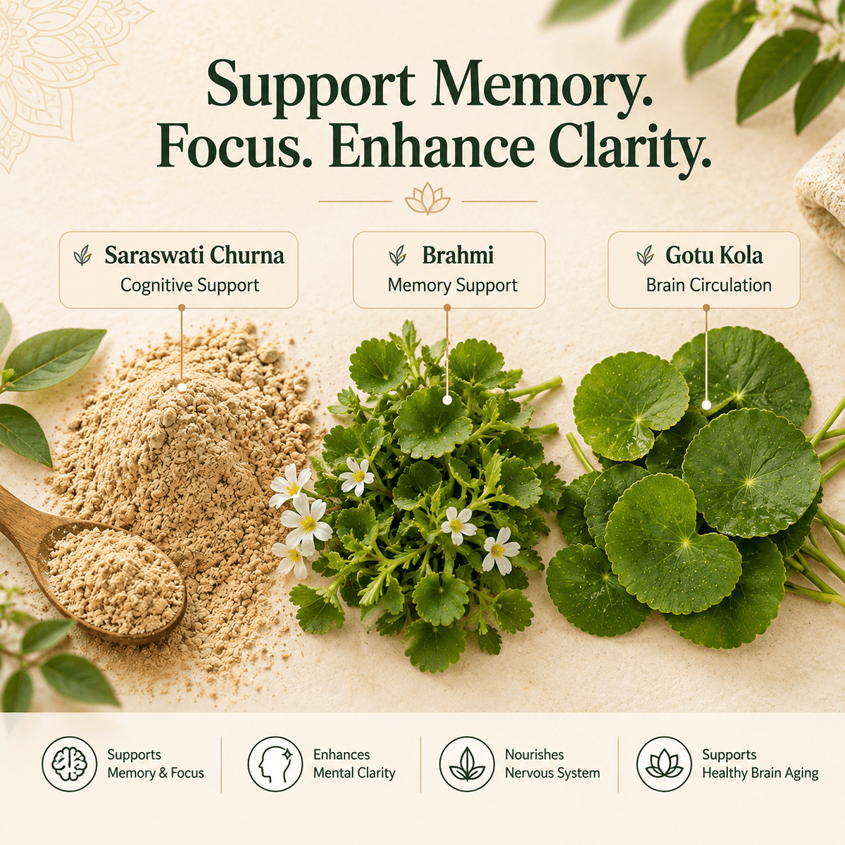 BRAIN & MEMORY FORMULA - Herb Man Teas