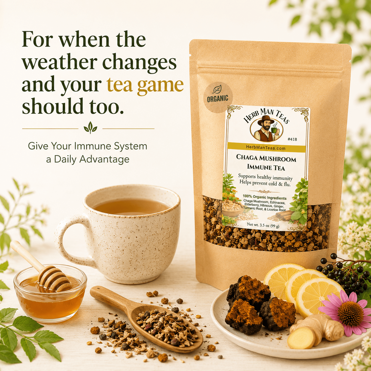CHAGA MUSHROOM IMMUNE TEA - Herb Man Teas