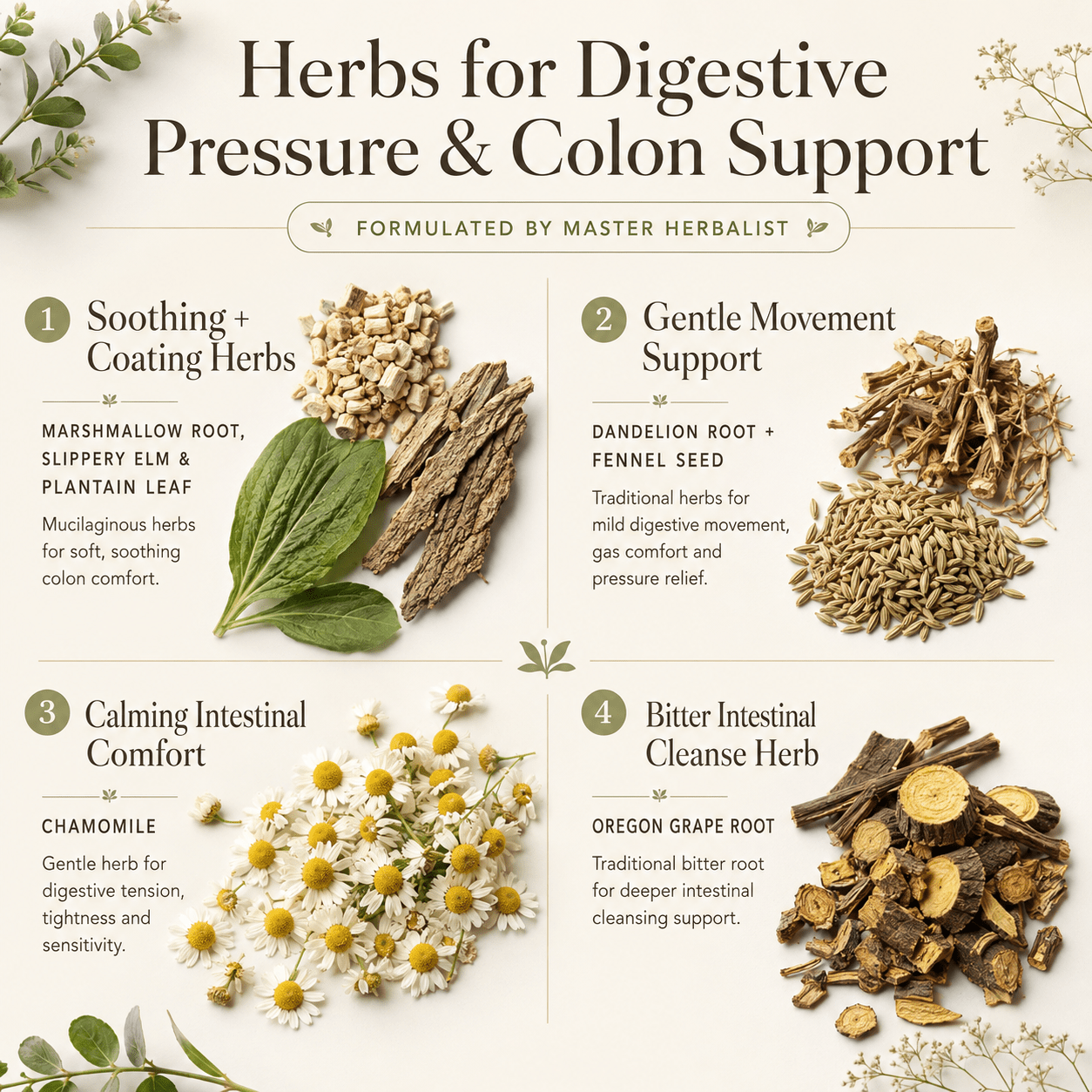 DIVERTICULITIS TEA - Herb Man Teas