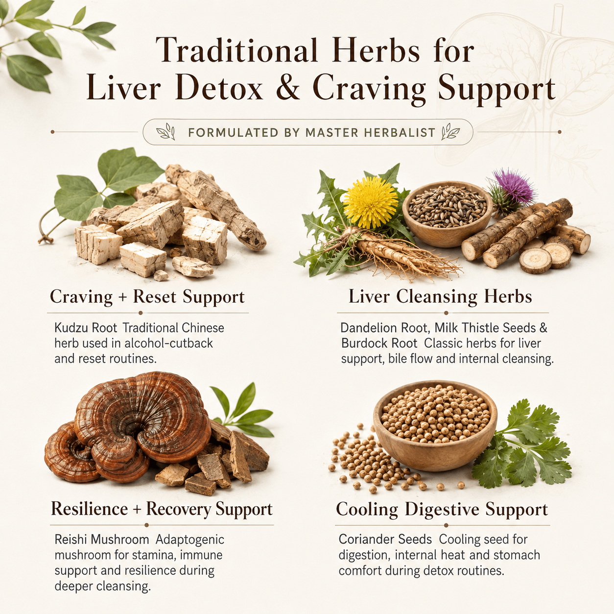DRINKERS DETOX TEA - Herb Man Teas