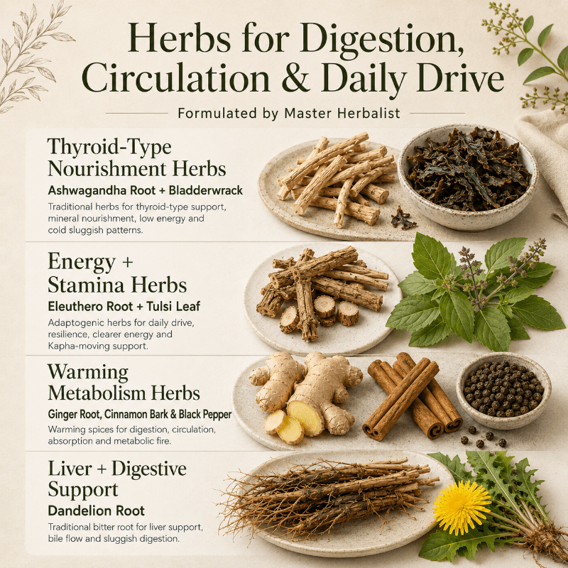 HEALTHY THYROID TEA - Herb Man Teas