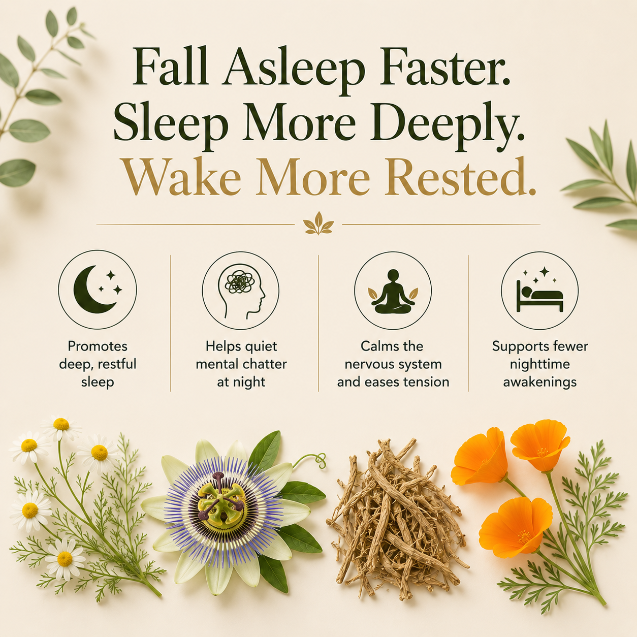 KNOCK-OUT SLEEP TEA