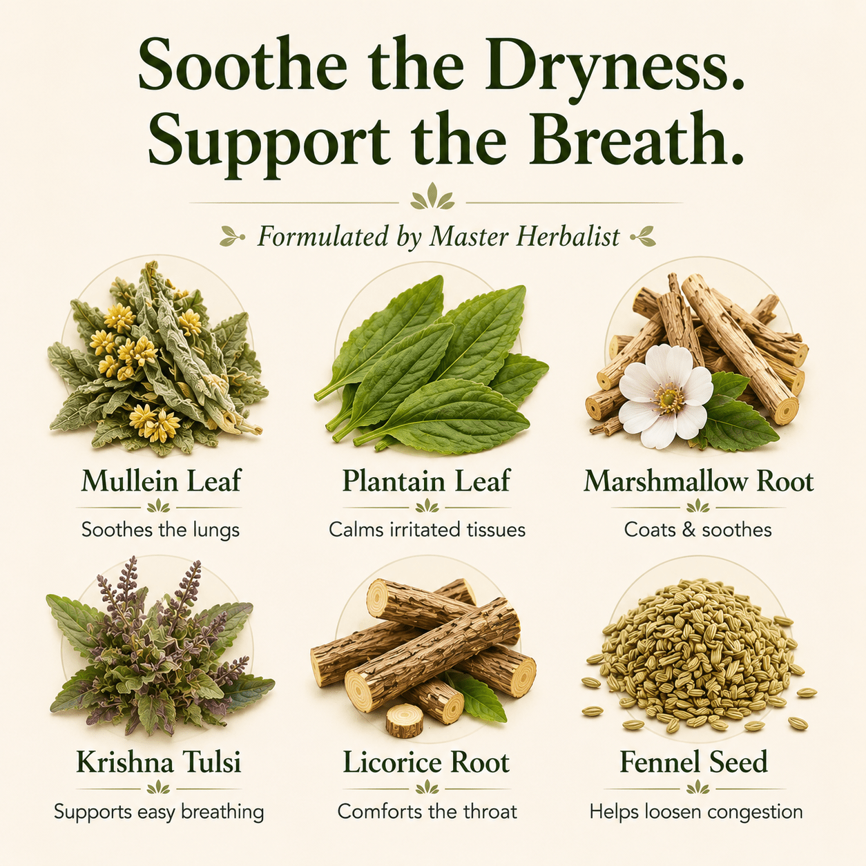 LUNG HEALING TEA - Herb Man Teas