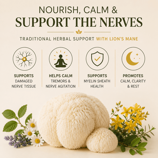 NERVE REPAIR TEA - Herb Man Teas