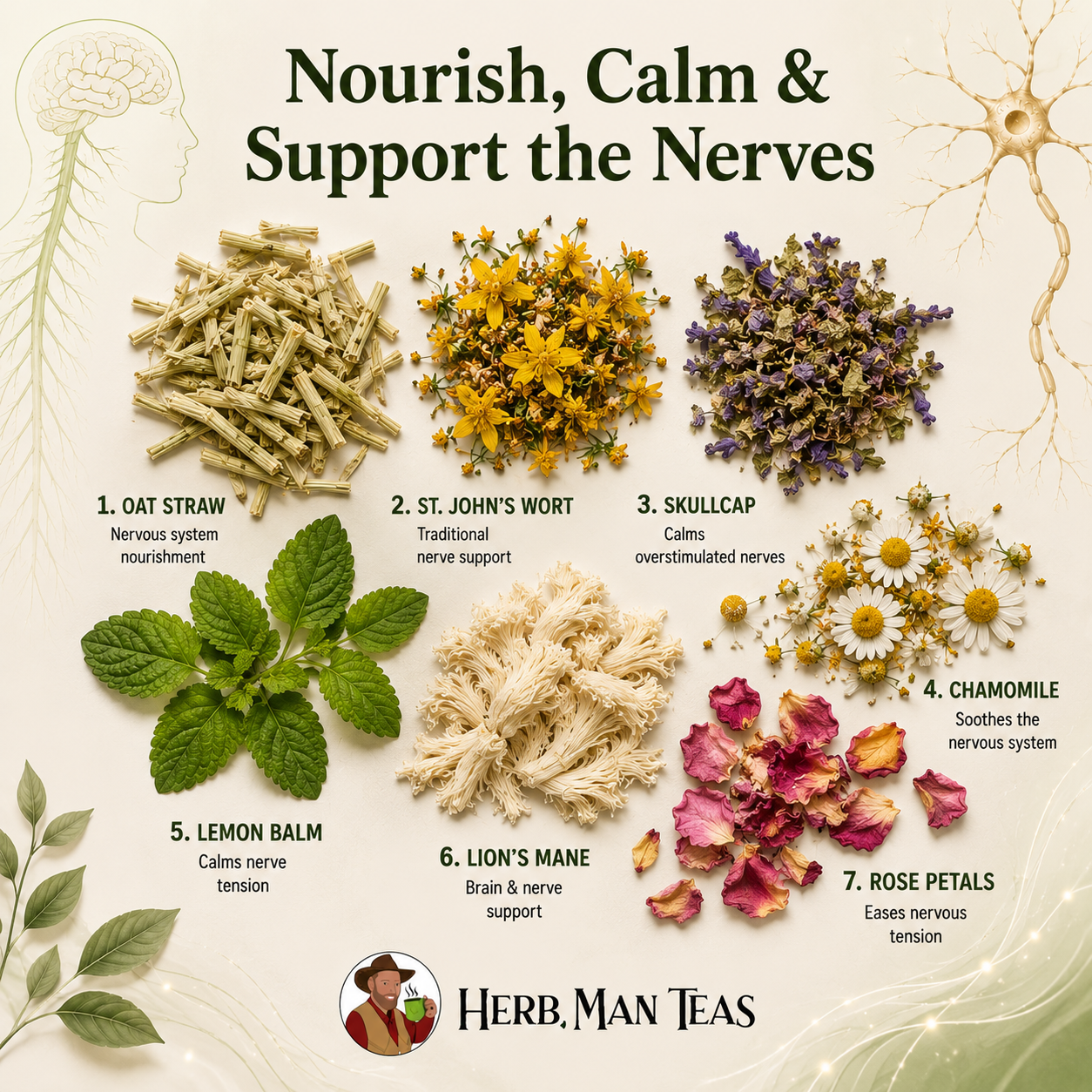 NERVE REPAIR TEA