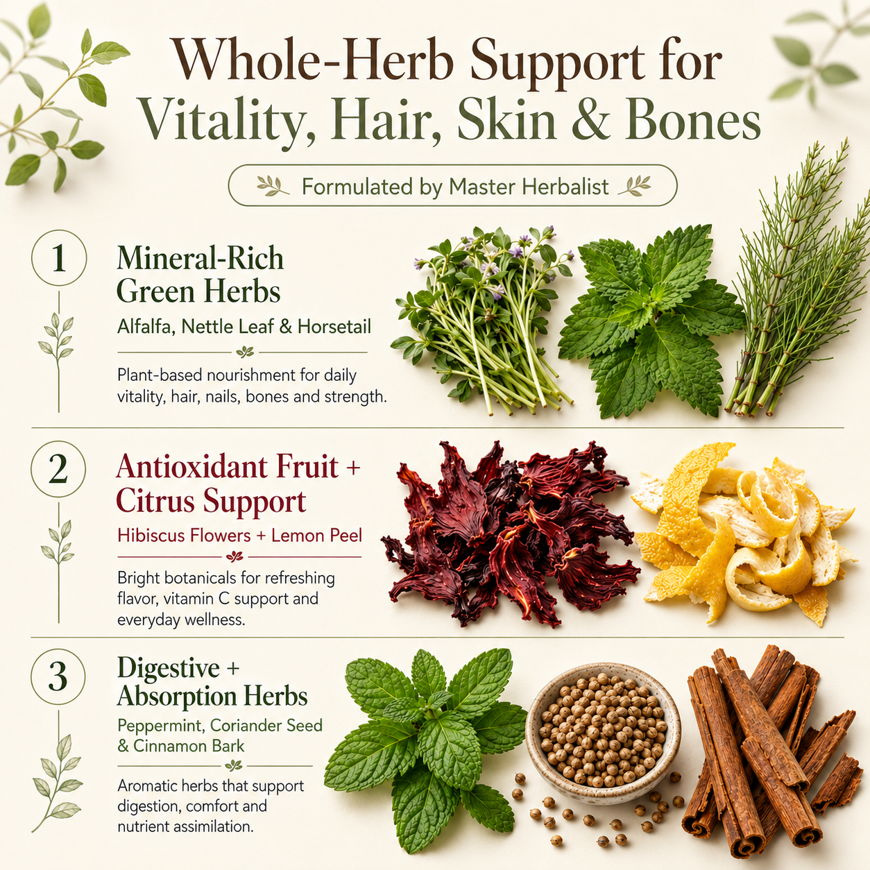 NUTRITIONAL SUPERFOOD TEA