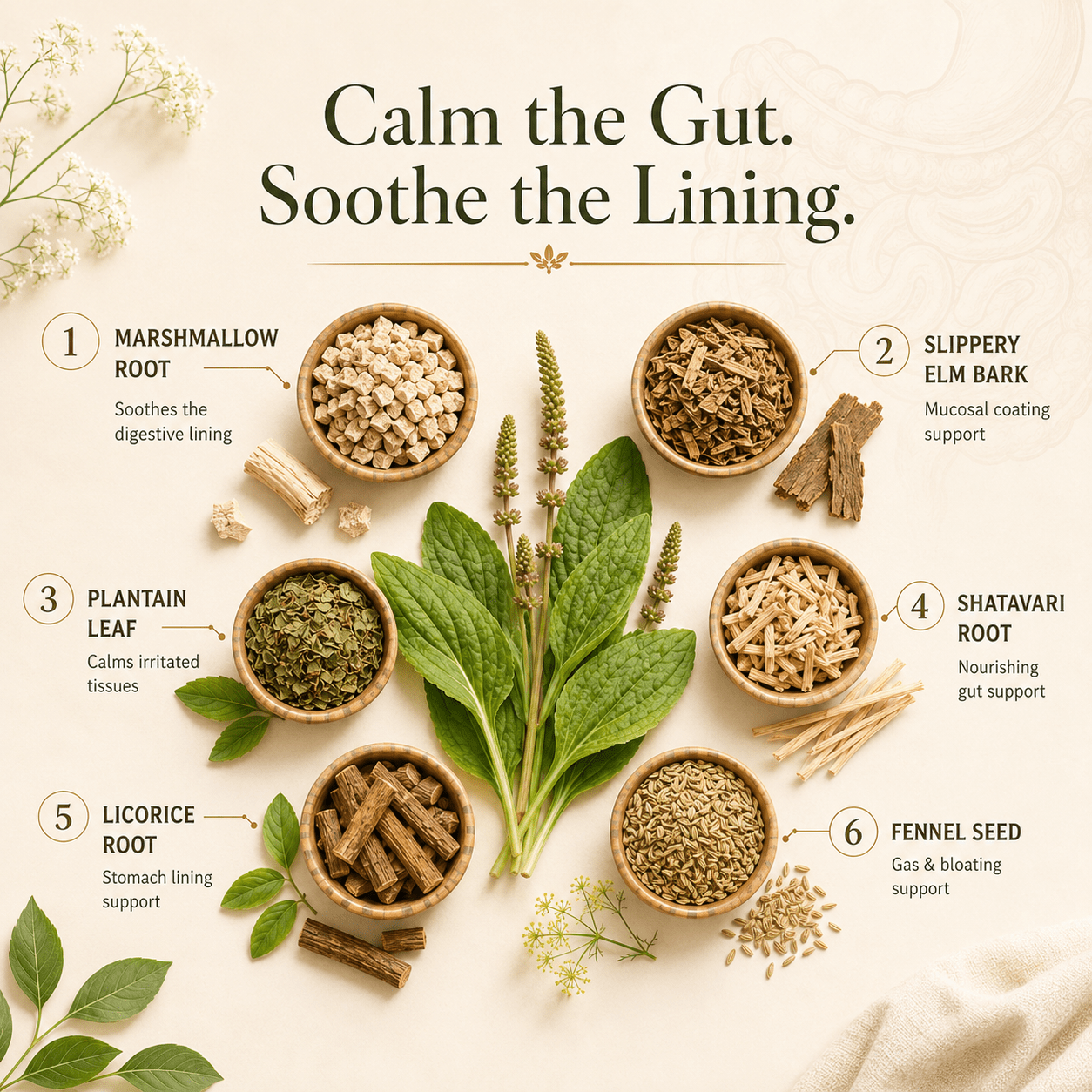 SOOTHING GUT TEA - Herb Man Teas